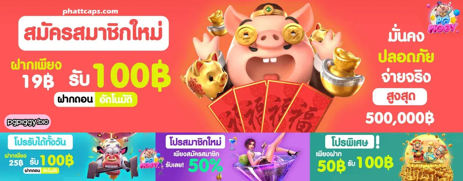 pgpiggy